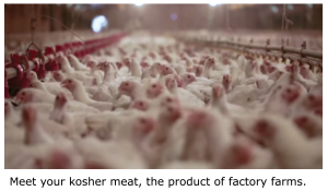 Kosher meat, with caption